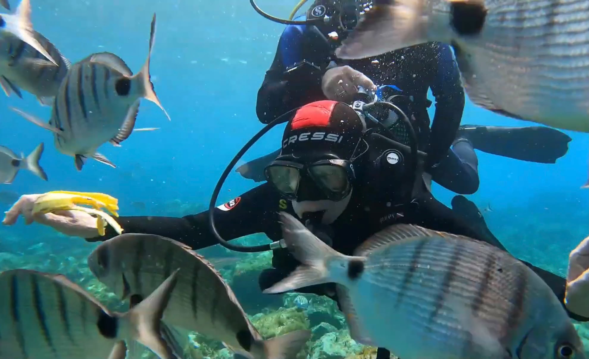 Try Dive student surrounded by a shoal of seabream in warm, clear water, with the instructor alongside
