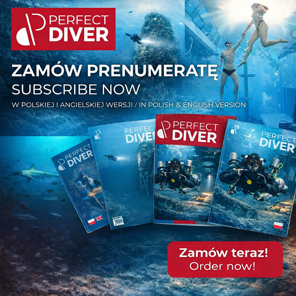 Perfect Diver